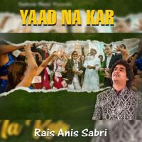 Yaad Na Kar Rais Anis Sabri Song Download Mp3