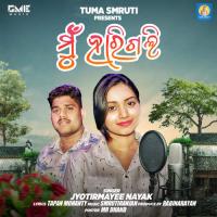 Mu Harigali Jyotirmayee Nayak Song Download Mp3