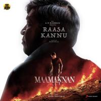Raasa Kannu (From "Maamannan") A.R. Rahman,Vadivelu,A.R. Rahman & Vadivelu Song Download Mp3