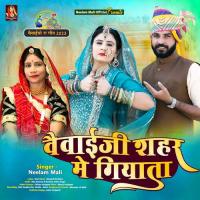 Vaivaiji Shahar Me Giyata Neelam Mali Song Download Mp3