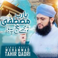 Ya Rabb E Mustafa Tu Mujhe Hajj Pa Bula Alhaj Hafiz Muhamad Tahir Qadri Song Download Mp3