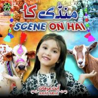 Mandi Ka Scene On Hai Aayat Arfat Song Download Mp3
