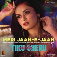 Meri Jaan-E-Jaan (From "Tiku Weds Sheru") Shreya Ghoshal,Nakash Aziz,Cyli Khare,Nakash Aziz & Cyli Khare Song Download Mp3