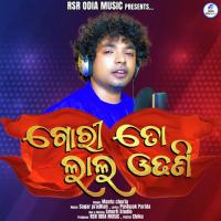 Gori To Laal Odhani Mantu Chhuria Song Download Mp3