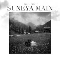 Suneya Main Wazir Patar Song Download Mp3