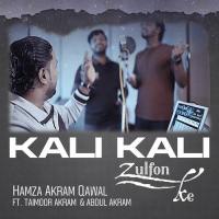 Kaali Kaali Zulfon Kay Hamza Akram Qawwal Song Download Mp3