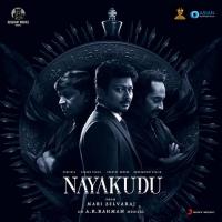 Nayakudu (Original Motion Picture Soundtrack) songs mp3