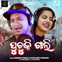 Puchuki Gali Aseema Panda,Satyajeet Pradhan Song Download Mp3