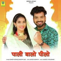 PALI WALO PEELO Dinesh Devasi,Sandhya Rao Song Download Mp3