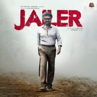 Jailer Theme (Instrumental) Anirudh Ravichander Song Download Mp3