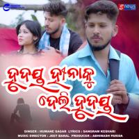 Hrudaya Hina Ku Deli Hrudaya Humane Sagar Song Download Mp3