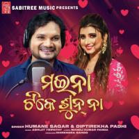 Maina Tike Sun Na Humane Sagar,Diptirekha Padhi Song Download Mp3