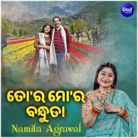 Tora Mora Bandhuta Namita Agrawal Song Download Mp3