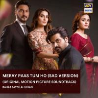 Meray Paas Tum Ho - OST - Sad Rahat Fateh Ali Khan Song Download Mp3