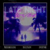 Late Night Lover Sultaan,Mehar Vaani Song Download Mp3
