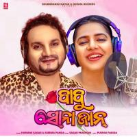Babu Sona Jaan Humane Sagar,Aseema Panda Song Download Mp3