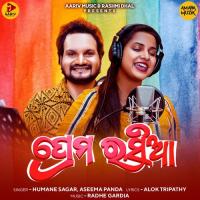 Prem Rasia Humane Sagar,Aseema Panda Song Download Mp3