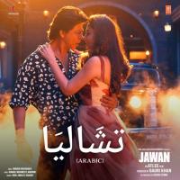 Chaleya Arabic (From "Jawan") Anirudh Ravichander,Grini,Jamila El Badaoui Song Download Mp3
