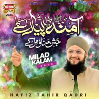 Amina Bi Ke Pyare Ka Jashn Manao Milke Hafiz Tahir Qadri Song Download Mp3