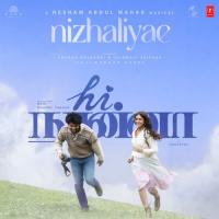 Nizhaliyae (From "Hi Nanna") Hesham Abdul Wahab,Anurag Kulkarni,Chinmayi Sripada,Madhan Karky Song Download Mp3