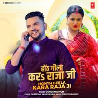 Honth Geela Kara Raja Ji Gunjan Singh,Chhotu Rawat Song Download Mp3