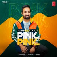 Pink Pink Sandeep Brar Song Download Mp3