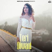 Teri Diwani Gold E Gill Song Download Mp3