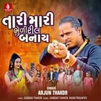 Tari Mari Bheli Reel Banay Arjun Thakor Song Download Mp3