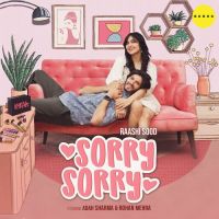 Sorry Sorry Raashi Sood,Zaraan Song Download Mp3