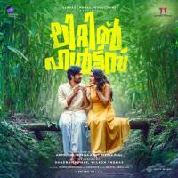 Aanne Kailas Menon,Dabzee,Athul Narukara,Sruthy Sivadas Song Download Mp3