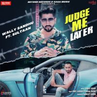 Judge Me Later Wally Sandhu,Sultaan Song Download Mp3