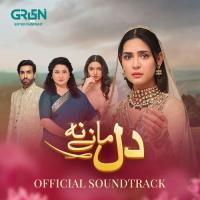 Dil Manay Naa (Original Soundtrack From Dil Manay Naa) Ahmed Jahanzeb