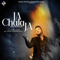 Ja Chala Ja Master Saleem Song Download Mp3