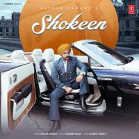 Shokeen Satkar Sandhu Song Download Mp3