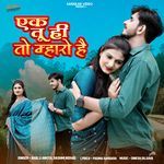 Ek Tu Hi Toh Mharo Hain songs mp3