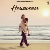 Hawavaan Arjun Joul Song Download Mp3