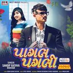 Pagal Pagli songs mp3