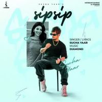 Sip Sip Sucha Yaar Song Download Mp3