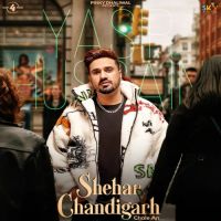 Shehar Chandigarh Chale An Yasir Hussain Song Download Mp3