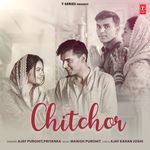 Chitchor Poster