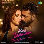 Jaanam (From Bad Newz) Vishal Mishra