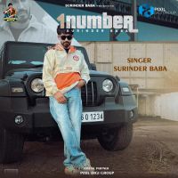 1 Number Surinder Baba Song Download Mp3