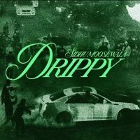 Drippy Sidhu Moose Wala,AR Paisley Song Download Mp3