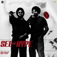 See My Hype Roop Bhullar,Wazir Patar Song Download Mp3