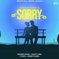 Sorry Pavvy Virk Song Download Mp3