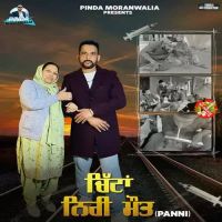 Chitta Niri Mot (Panni) Pinda Moranwalia Song Download Mp3