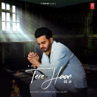 Tere Haan Aatish Song Download Mp3