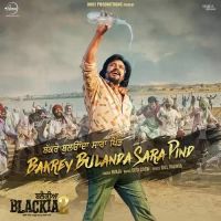 Bakrey Bulanda Sara Pind Ninja Song Download Mp3