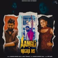 Aangli Hawa Me Ashu Twinkle,Manish Sonipat Aala Song Download Mp3