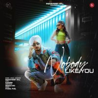 Nobody Like You Manavgeet Gill Song Download Mp3